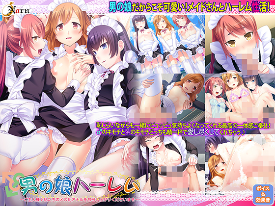 マニア向け特殊ジャンルの男の娘エロゲーおすすめ5位:男の娘ハーレムのパッケージ
