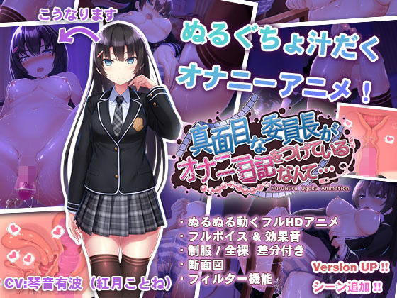オナニーエロゲーおすすめ1位:真面目な委員長がオナニー日記をつけているなんて…のパッケージ