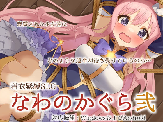 着衣緊縛SLG なわのかぐら弐のパッケージ画像