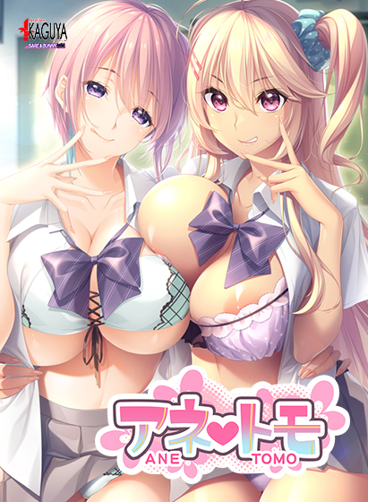 アネトモのパッケージ画像