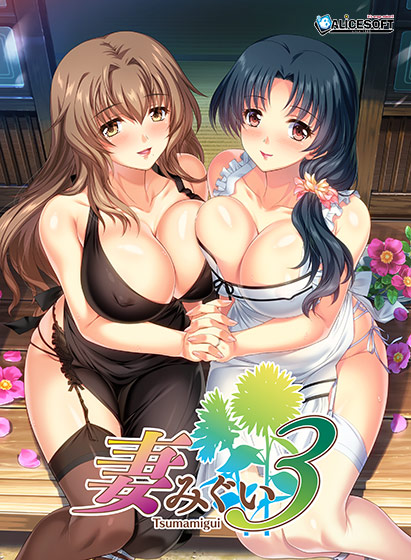 妻みぐい3のパッケージ画像