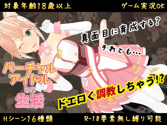 バーチャルアイドルとの生活〜自称人権無し少女を好き放題できることになった〜のパッケージ画像