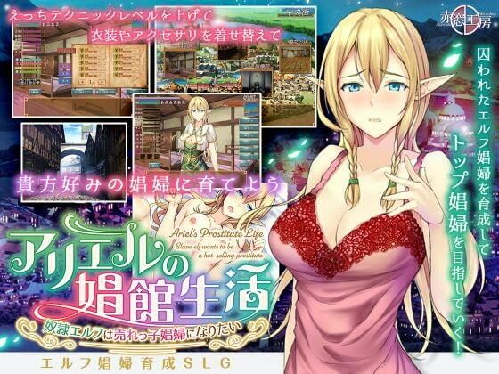 アリエルの娼館生活のパッケージ画像