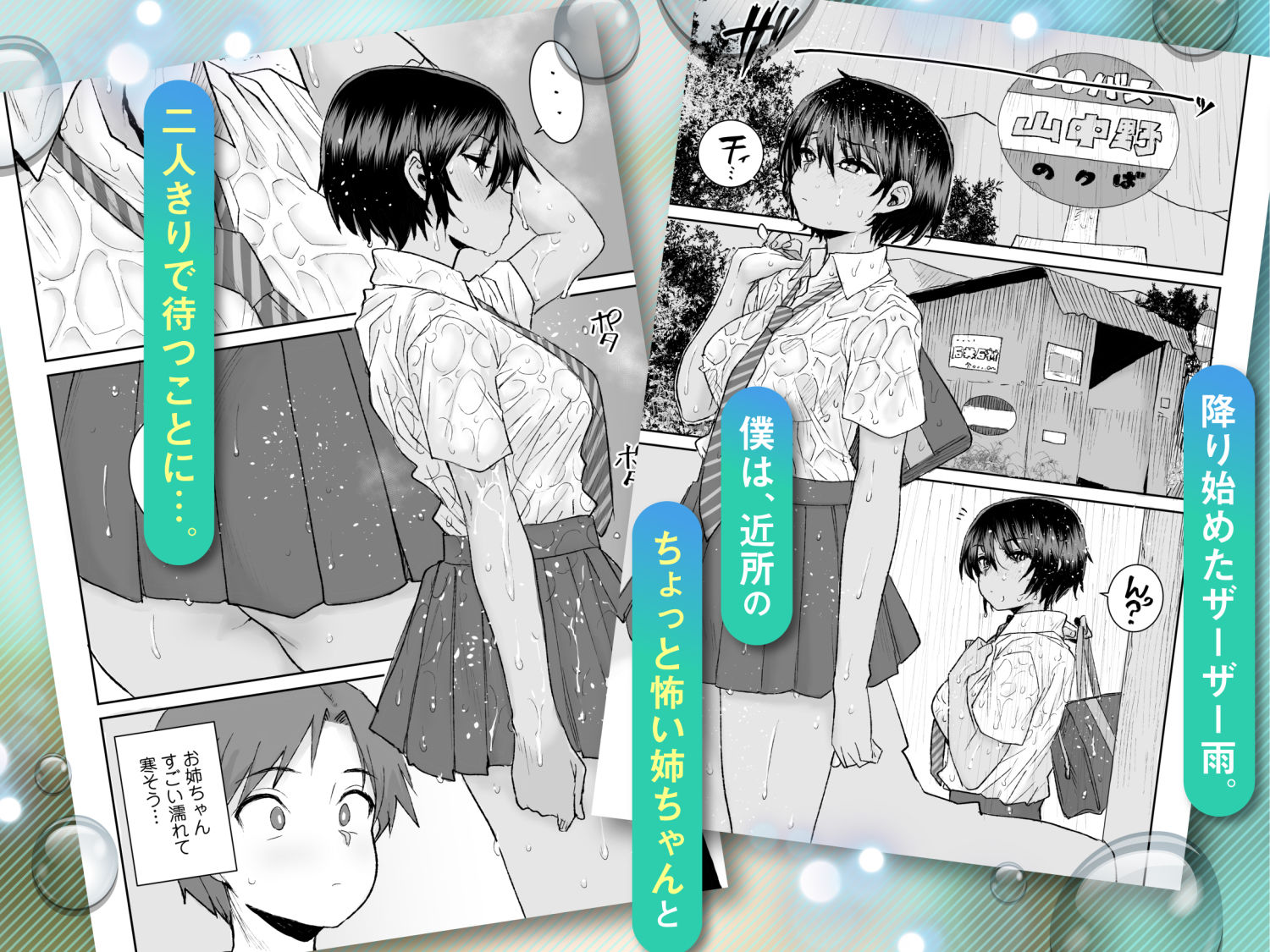 無口で気の強いボーイッシュなお姉ちゃんで僕は童貞を卒業しました2