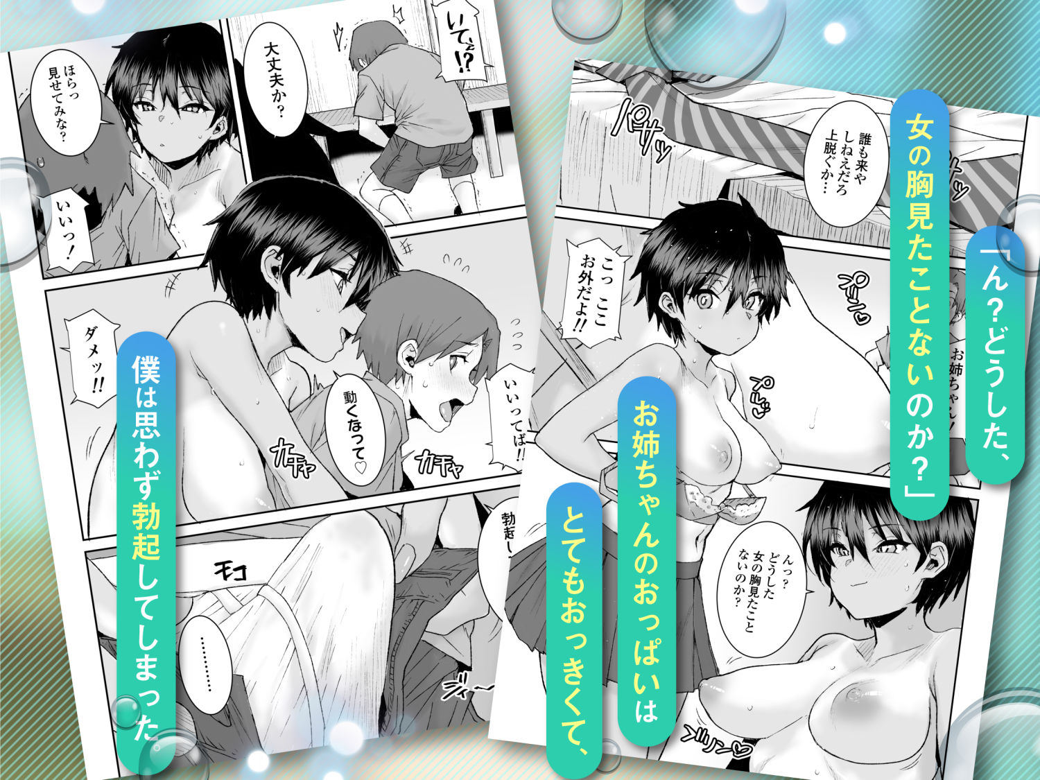 無口で気の強いボーイッシュなお姉ちゃんで僕は童貞を卒業しました3