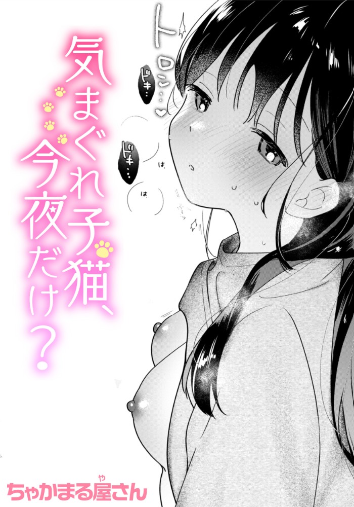 気まぐれ子猫、今夜だけ?1