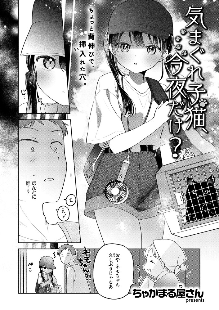 気まぐれ子猫、今夜だけ?4