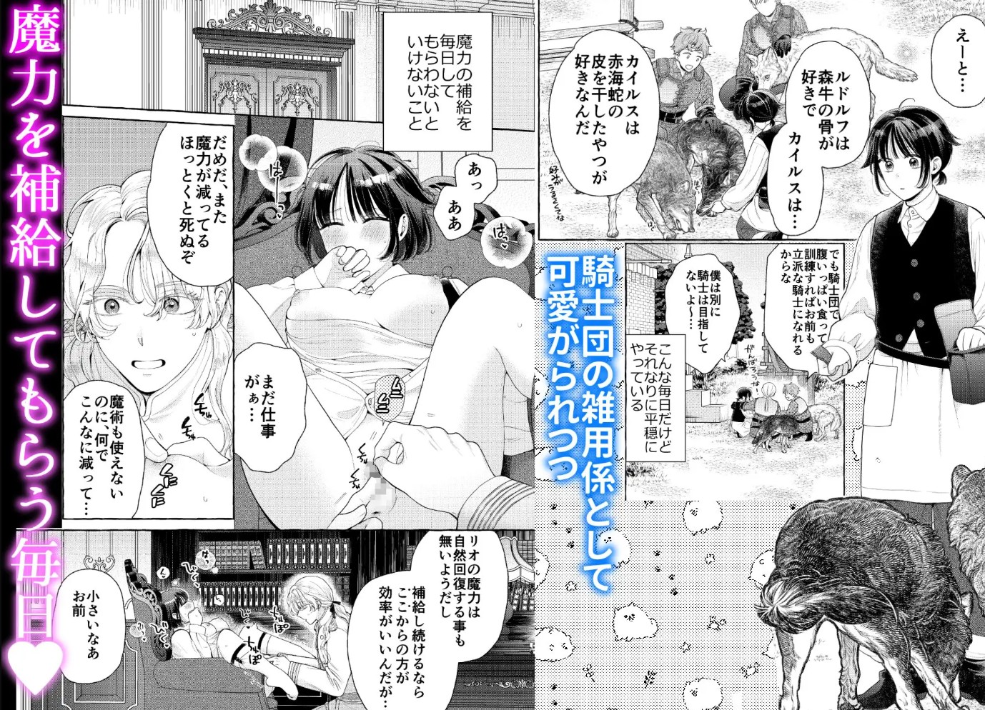 騎士団のわんわん3