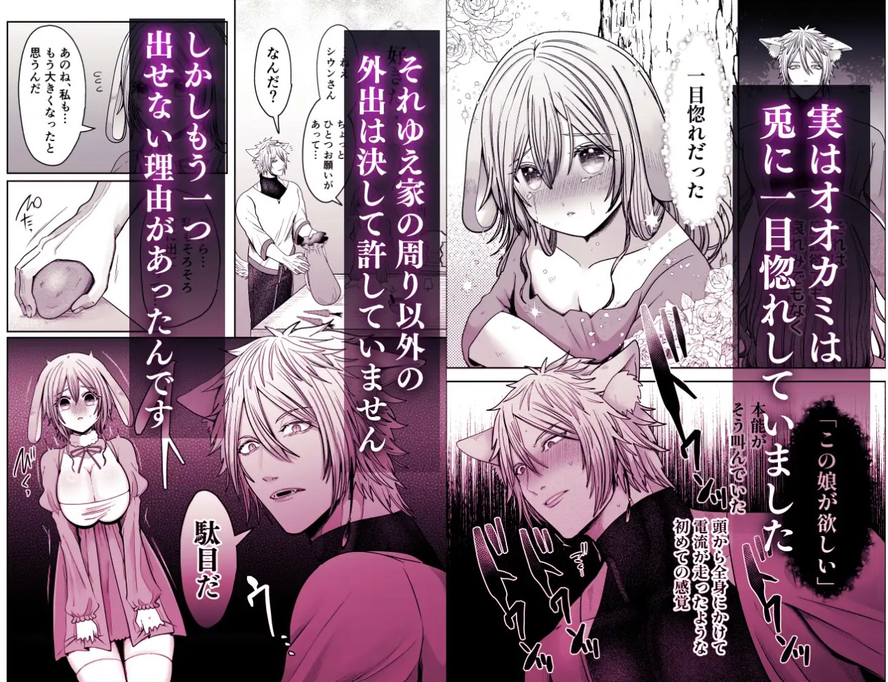 劣情狼と発情うさぎ ─治療という名の強○孕ませセックス─4
