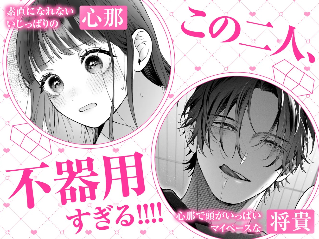 続・会いに行った裏アカ男子が大嫌いな婚約者で詰んだ。2
