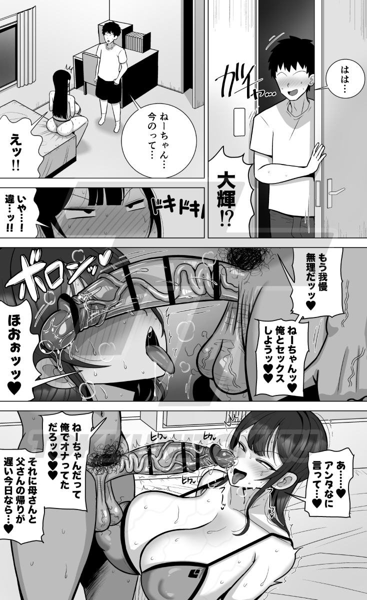 姉と弟は30日後にセックスする。19