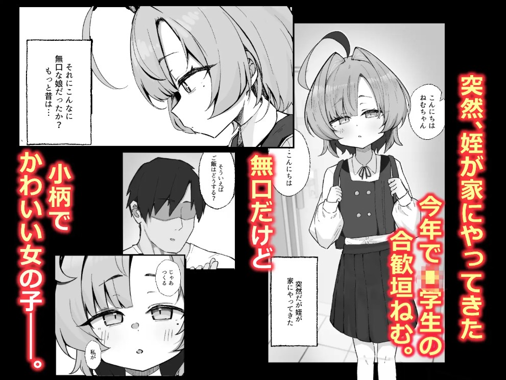 眠リ姫～姪っ子調教性活記録～2
