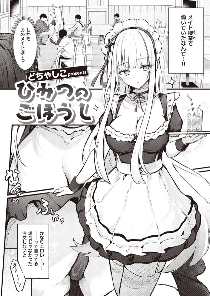ひみつのごほうし2