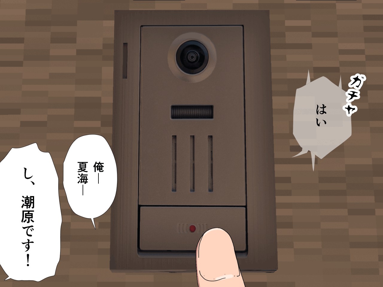 催● 子作り代行サービス225