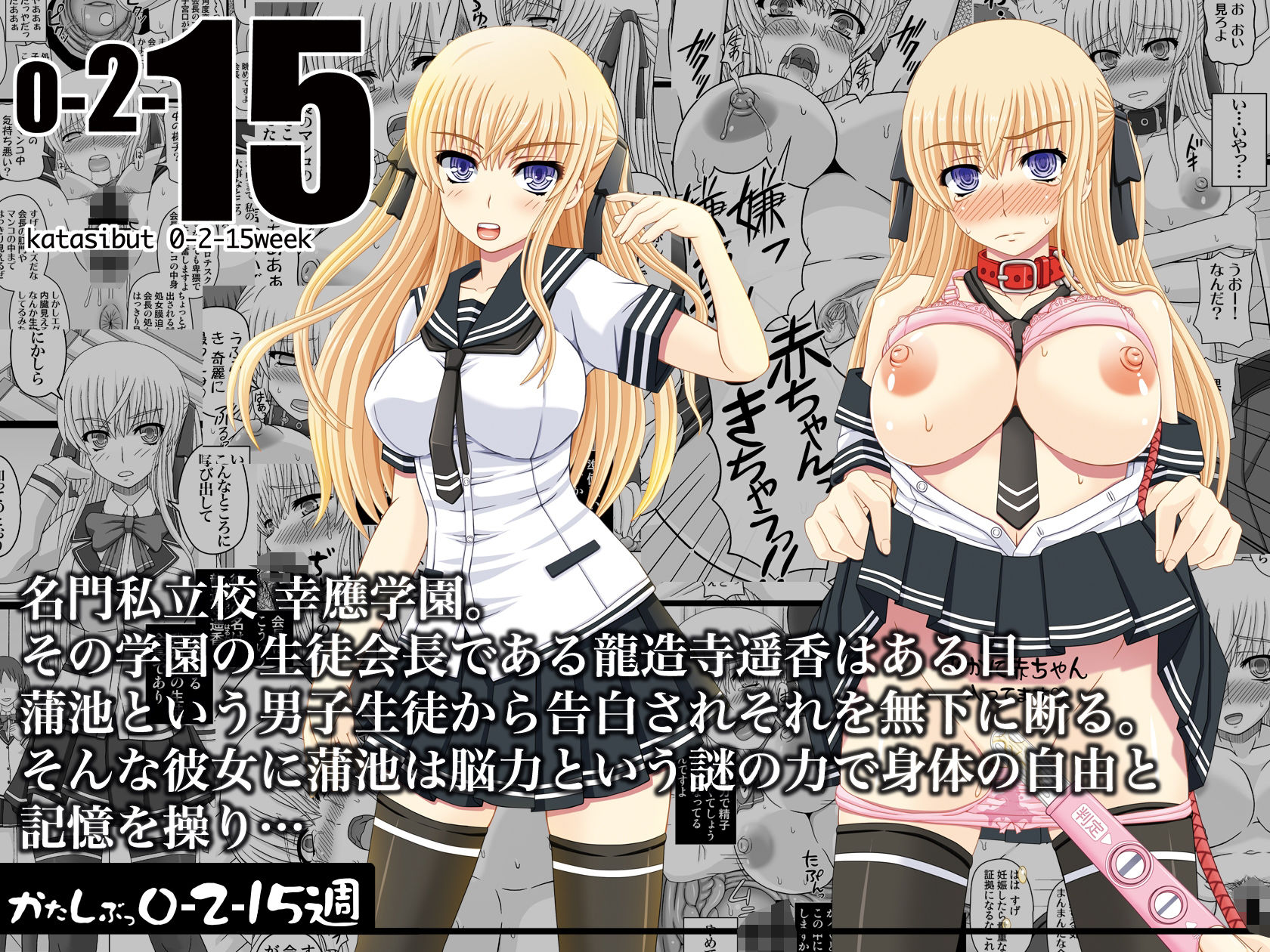かたしぶっコンプリート2