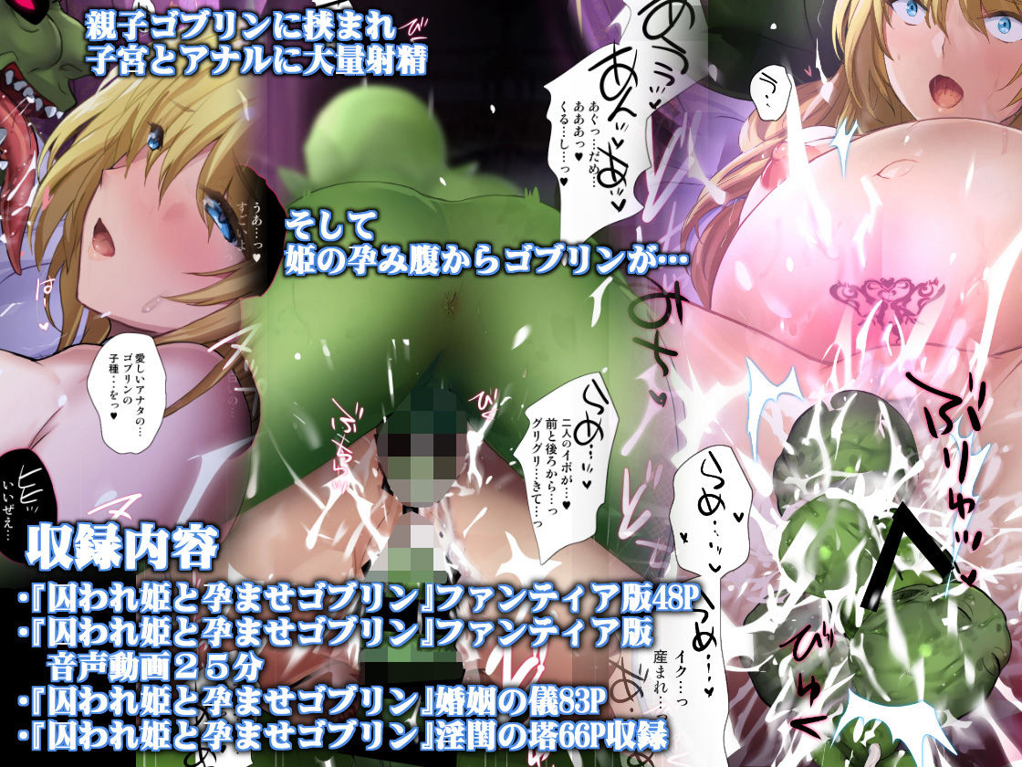 囚われ姫と孕ませゴブリン6