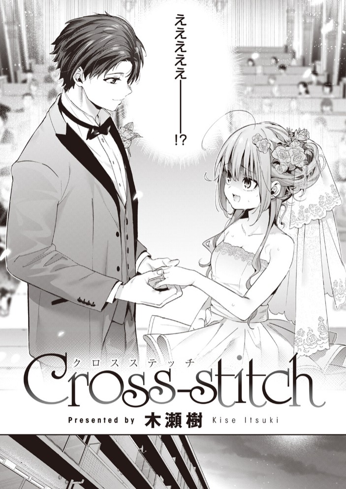 Cross-stitch5