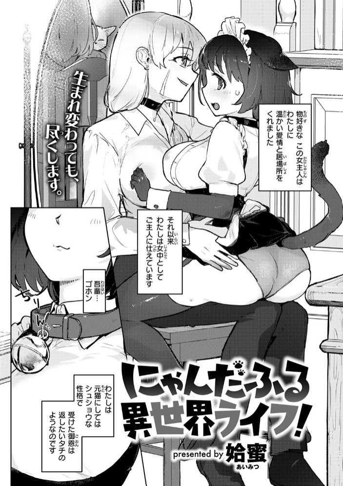 にゃんだふる異世界ライフ!4
