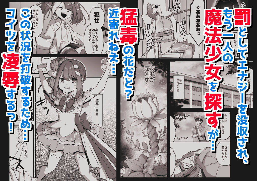 悪の手先になったので。〜魔法少女を凌●します〜3前編3