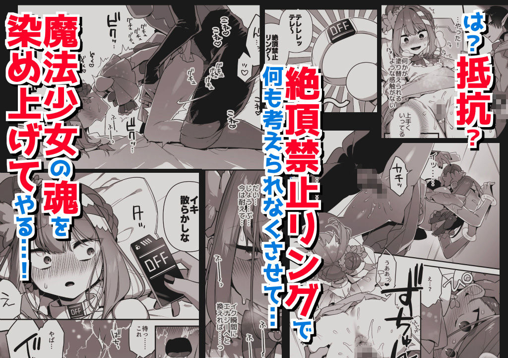 悪の手先になったので。〜魔法少女を凌●します〜3前編5