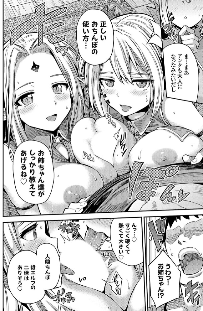ヤろう系ファンタジー ボテハラクエスト２ エルフ姉妹と孕ませの森8