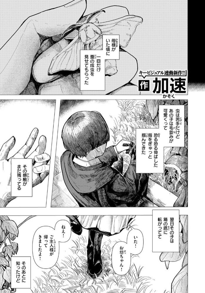 蚕のひとつ覚え3