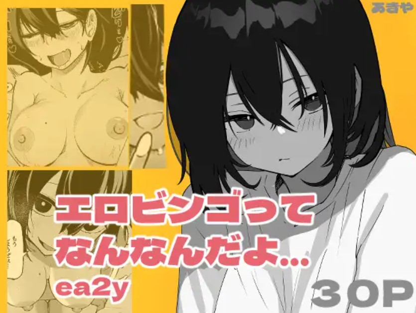 エロビンゴってなんなんだよ…ea2y1