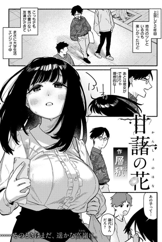甘藷の花3