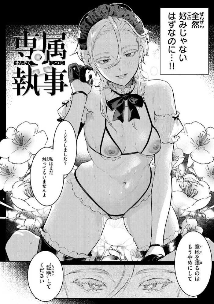 にくしょくショートケーキ22