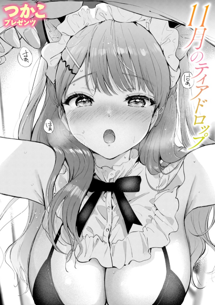 11月のティアドロップ1