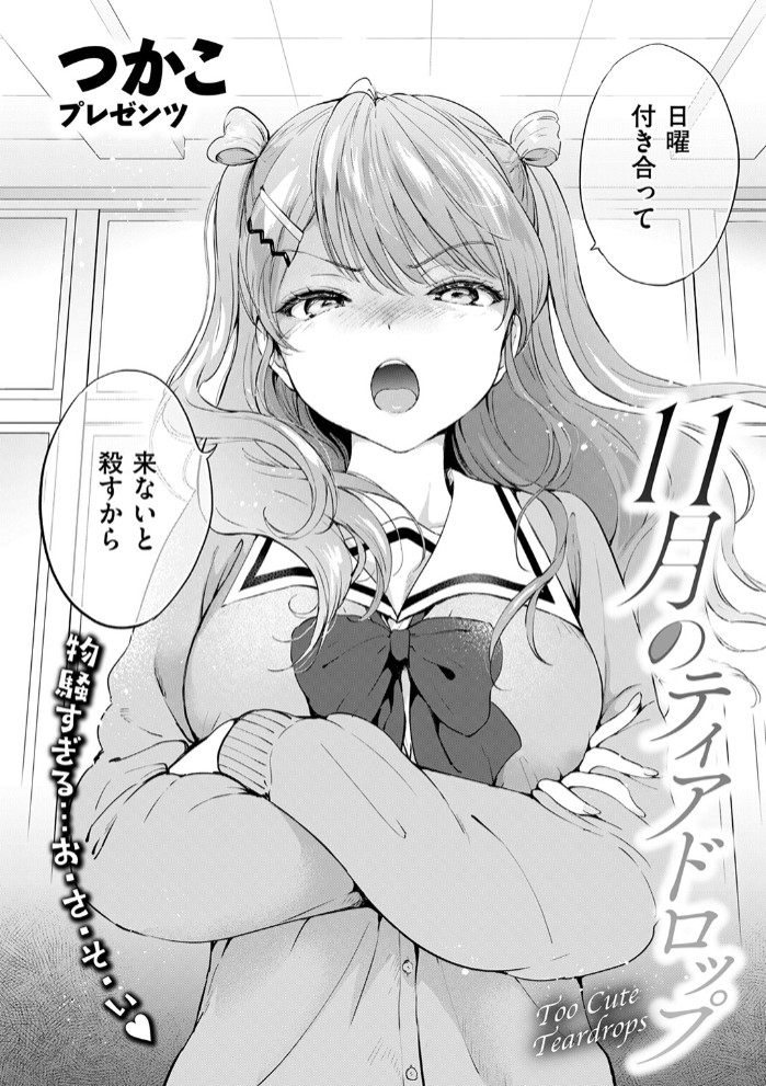 11月のティアドロップ4