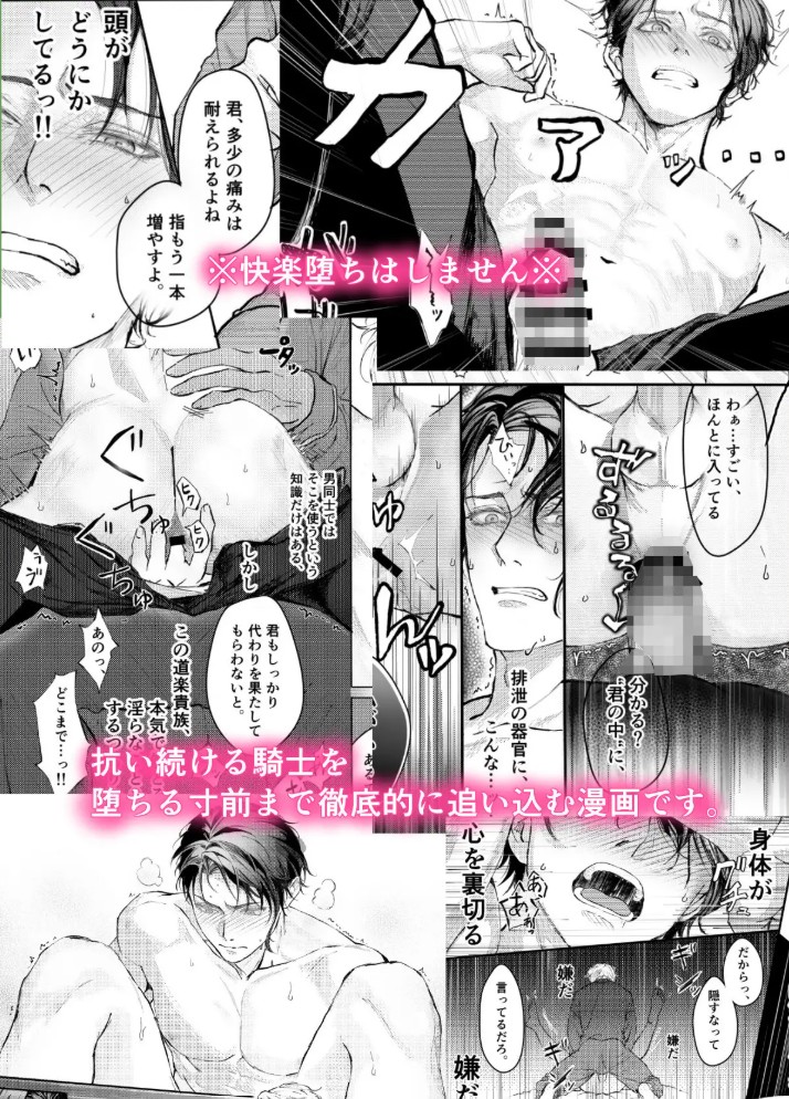 『貴方に従い、貴様に抗う。』〜絶対に堕ちない気高い剣聖が、交換条件で嫌いな主君に屈辱的に犯される漫画〜【初夜編】8