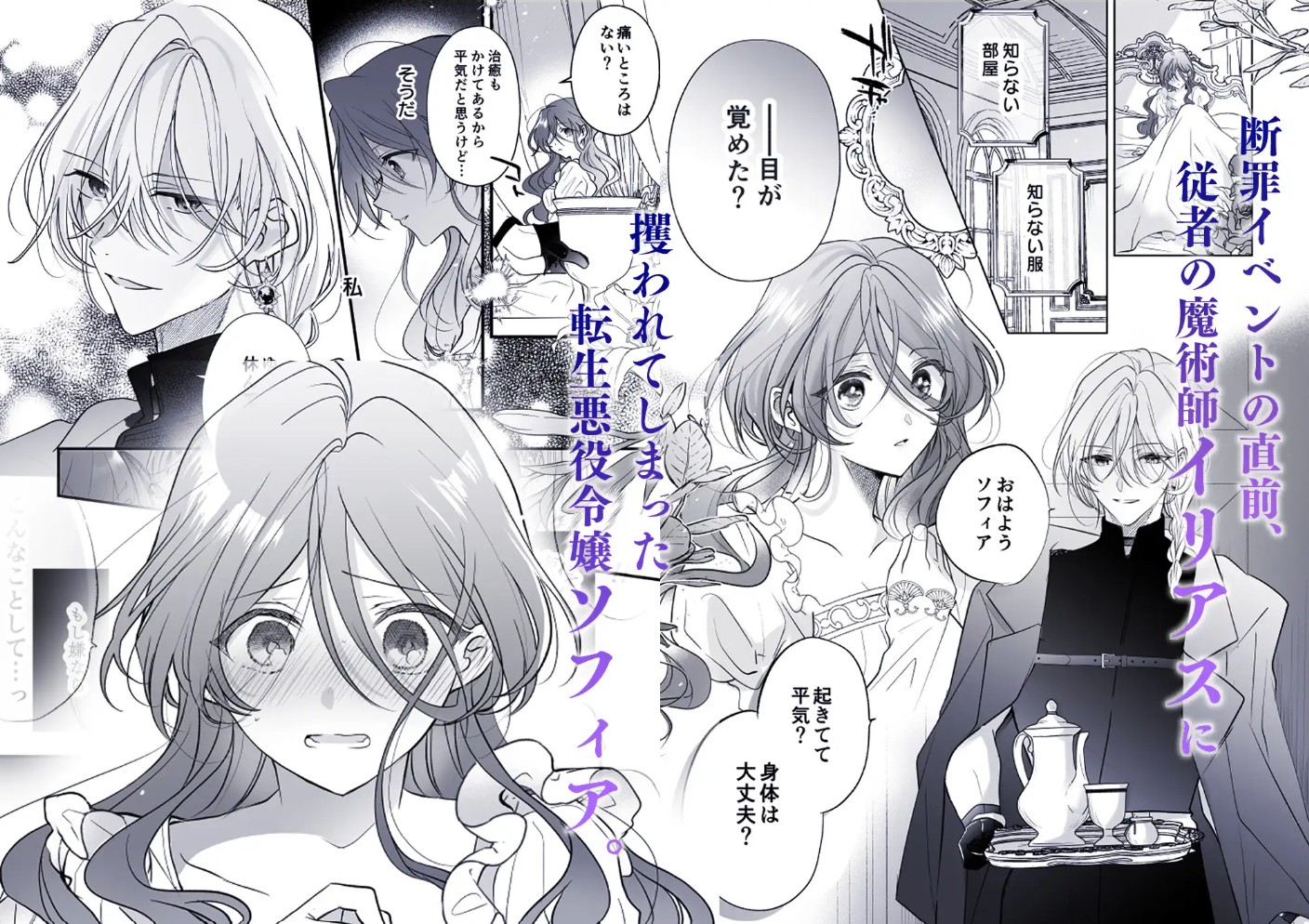 魔術師の偏愛2-TrueRoute-上2