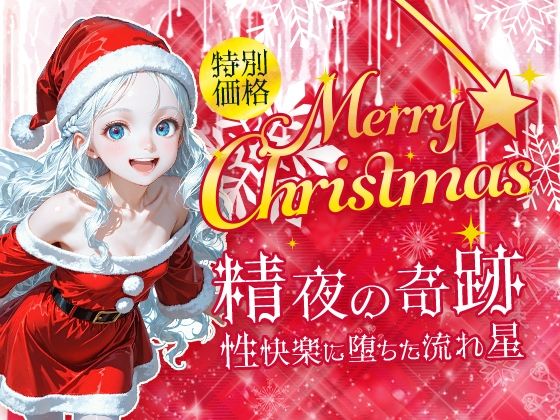 Merry Christmas 精夜の奇跡1