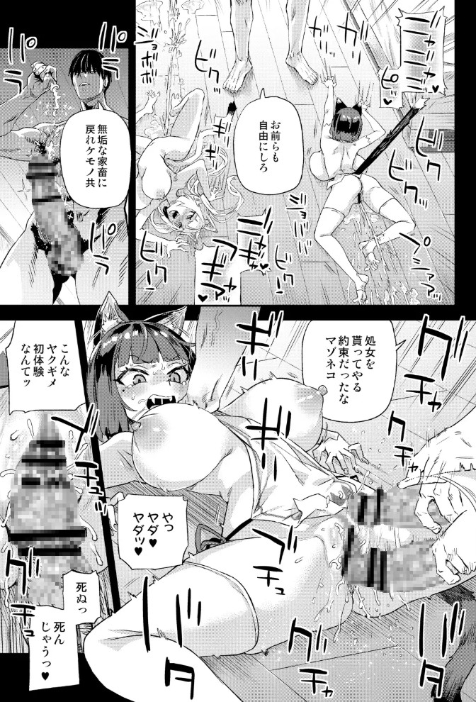 猫族娘はヒトを飼う。11