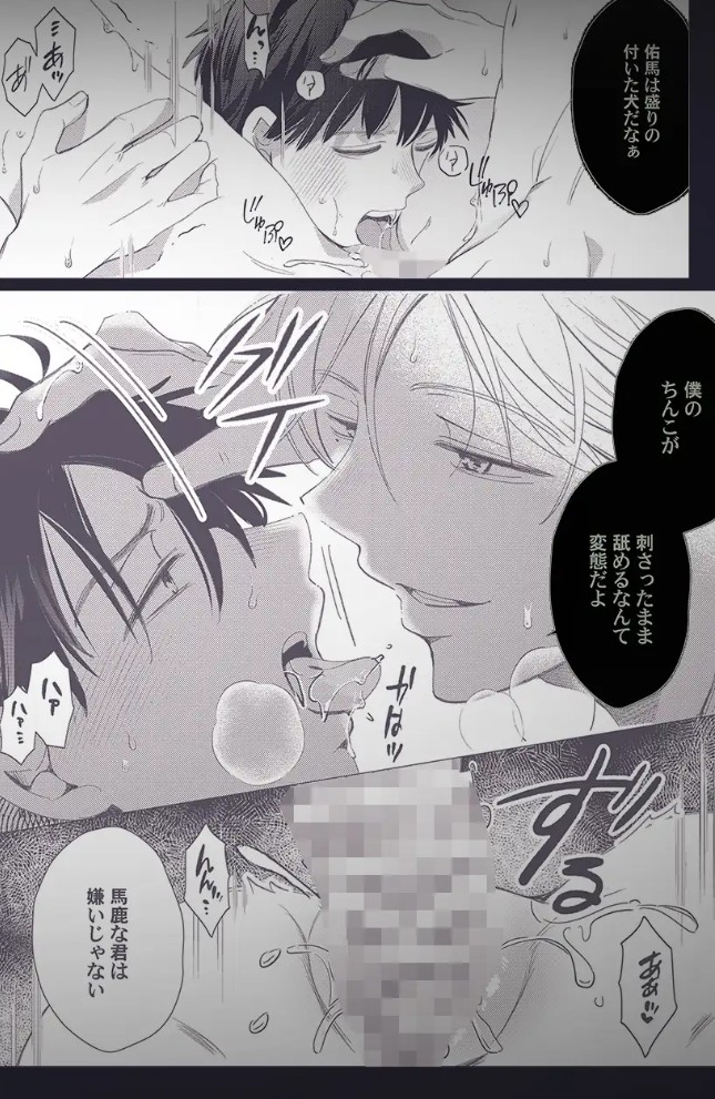 雨宮兄弟の歪んだ溺愛～執着ドクターと堕ちる共依存交尾～10