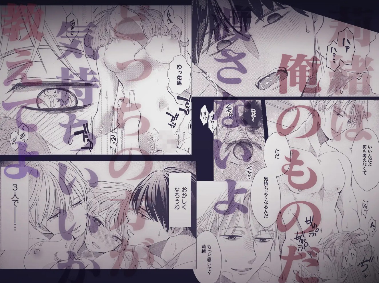 雨宮兄弟の歪んだ溺愛～執着ドクターと堕ちる共依存交尾～12