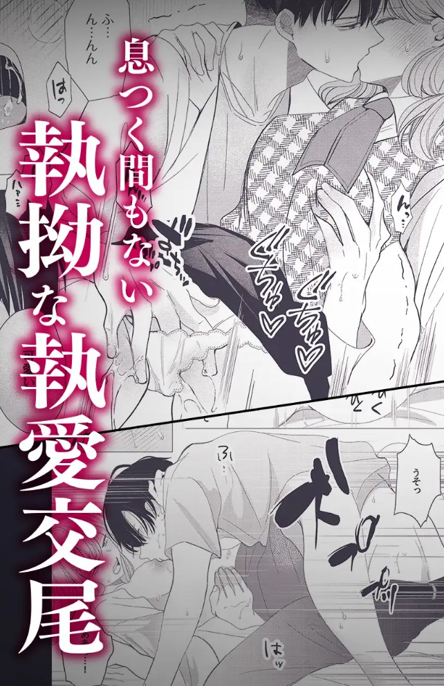 雨宮兄弟の歪んだ溺愛～執着ドクターと堕ちる共依存交尾～6