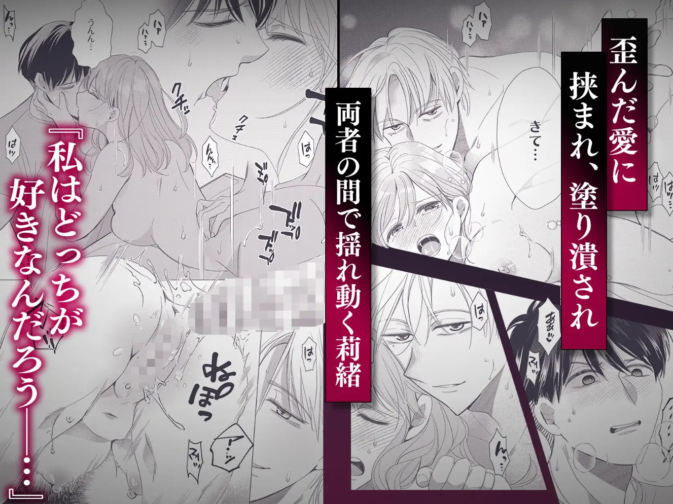 雨宮兄弟の歪んだ溺愛～執着ドクターと堕ちる共依存交尾～9