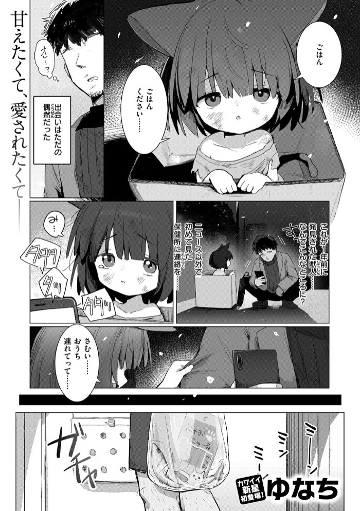 拾い猫3