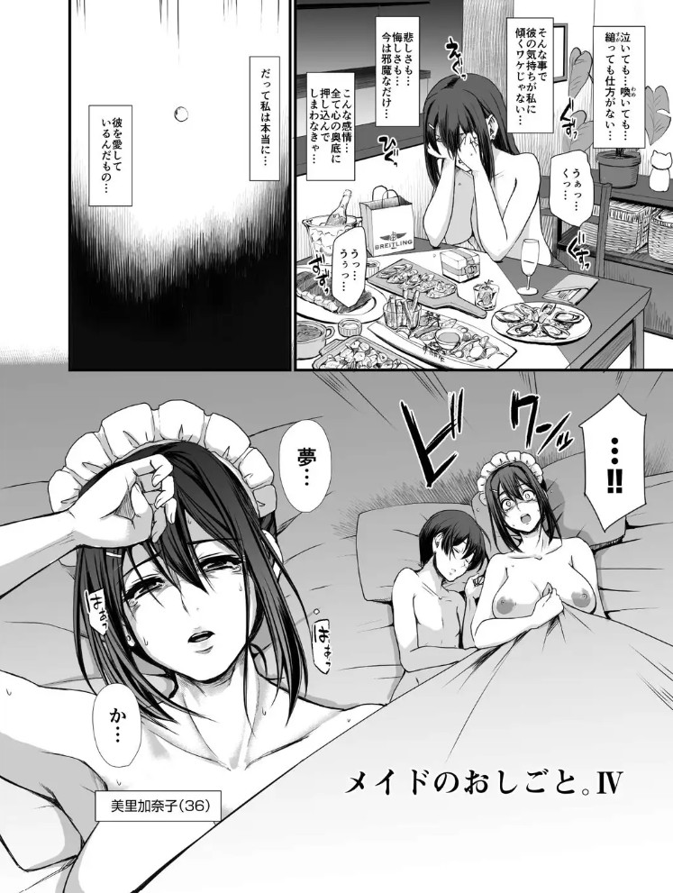 メイドのおしごと。IV11