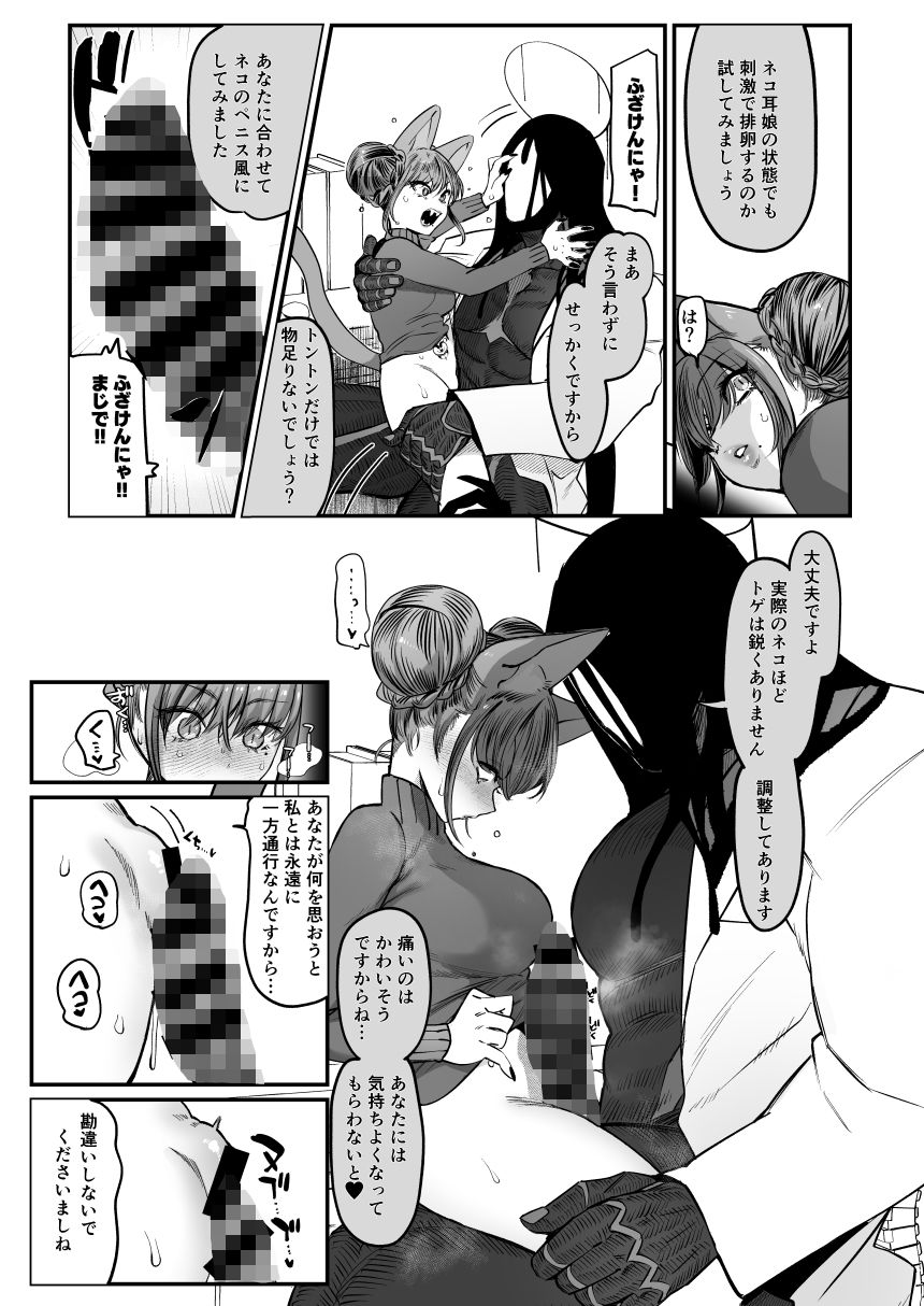 メスネコ！ランホアちゃん3