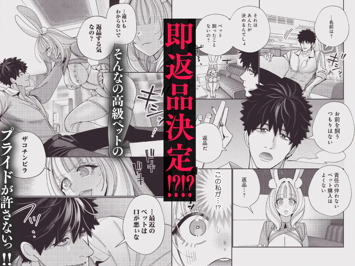 社畜マフィアと愛玩ウサギ～不本意ですが、種付け交尾にメス堕ちしました～3