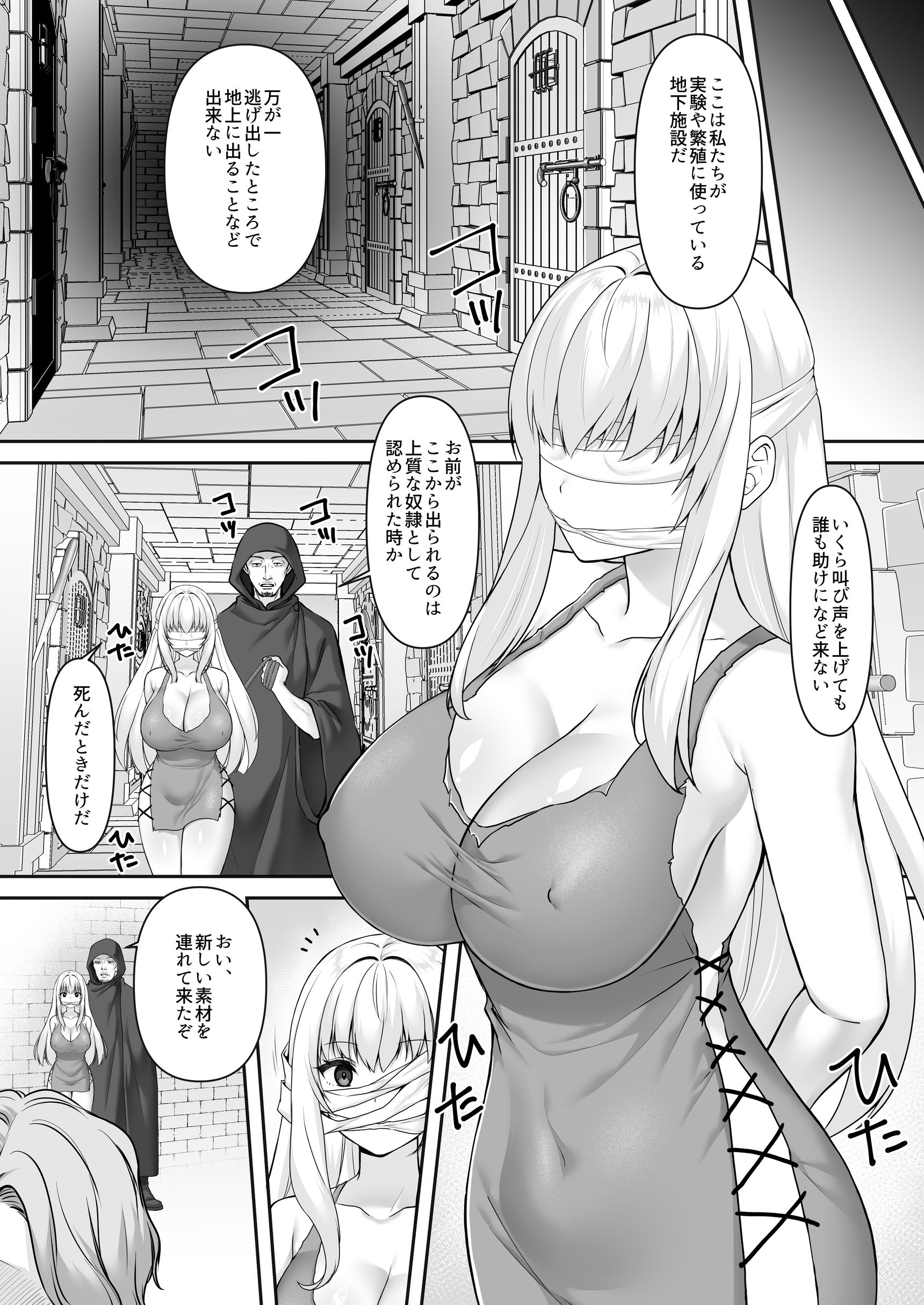 遮断賢者 〜百年生きた女賢者は囮捜査で感覚遮断魔法を使います〜15