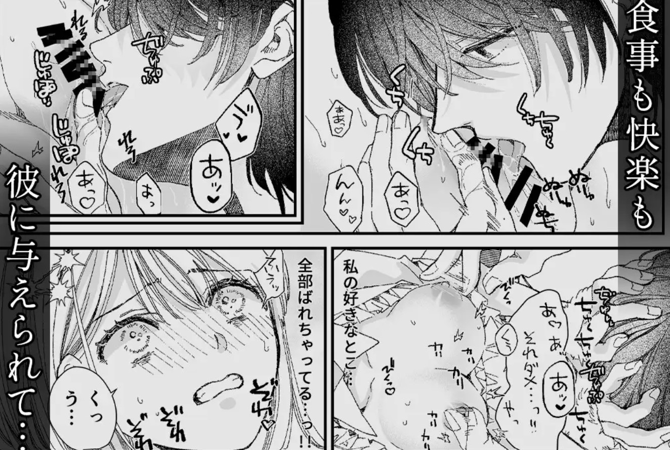 雨音の檻II～ストーカー上司に監禁飼育されてます4