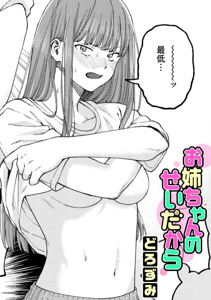 お姉ちゃんのせいだから1