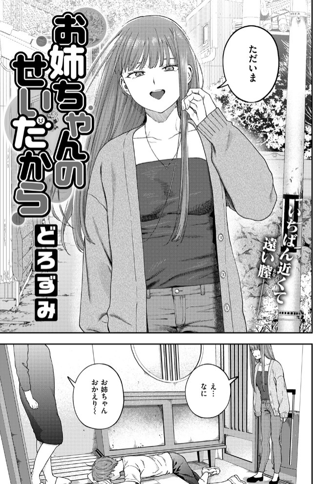 お姉ちゃんのせいだから5