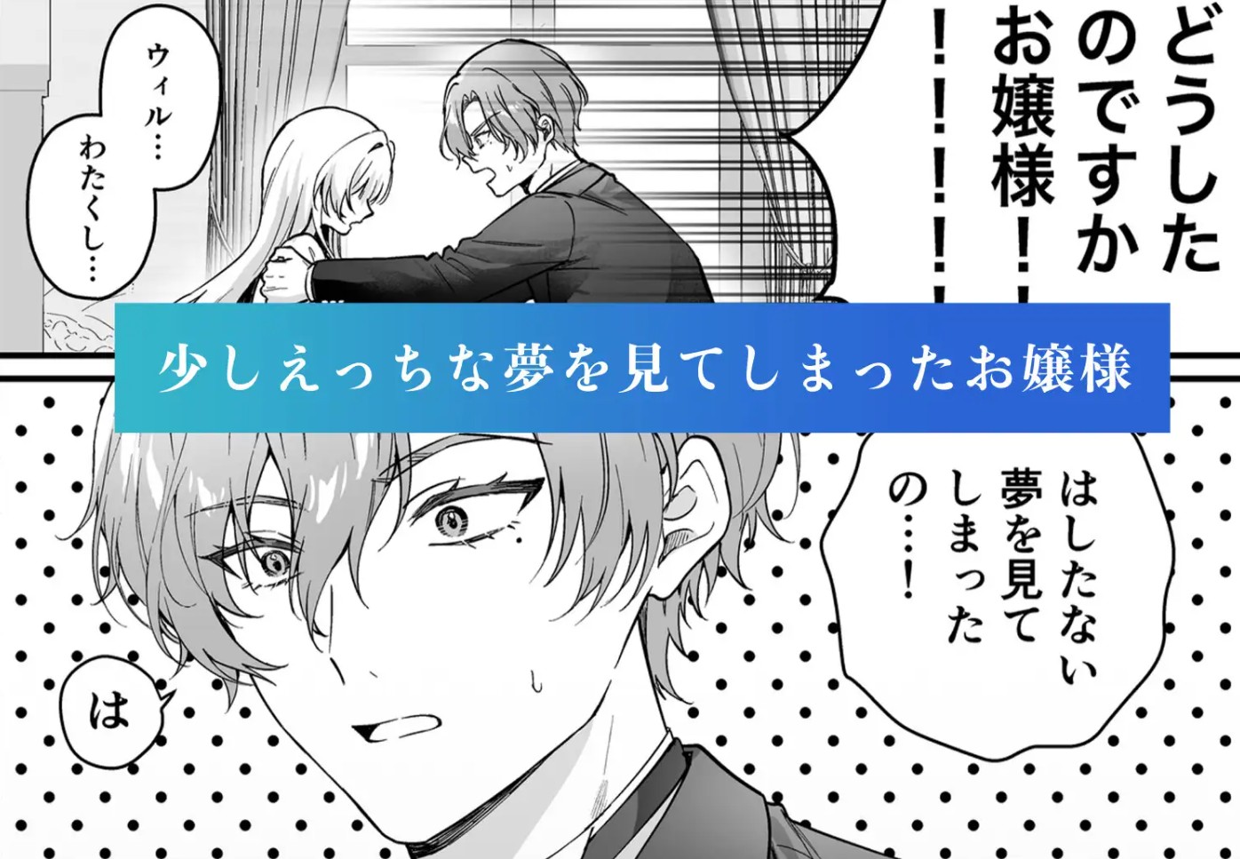 性に無知なお嬢様、生真面目執事に性教育される2