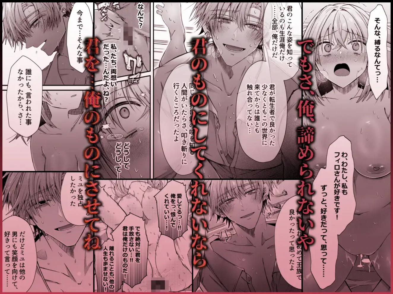 湿度高めな護衛騎士は、身分を明かしてでも聖女を永遠に繋ぎ留めたい11