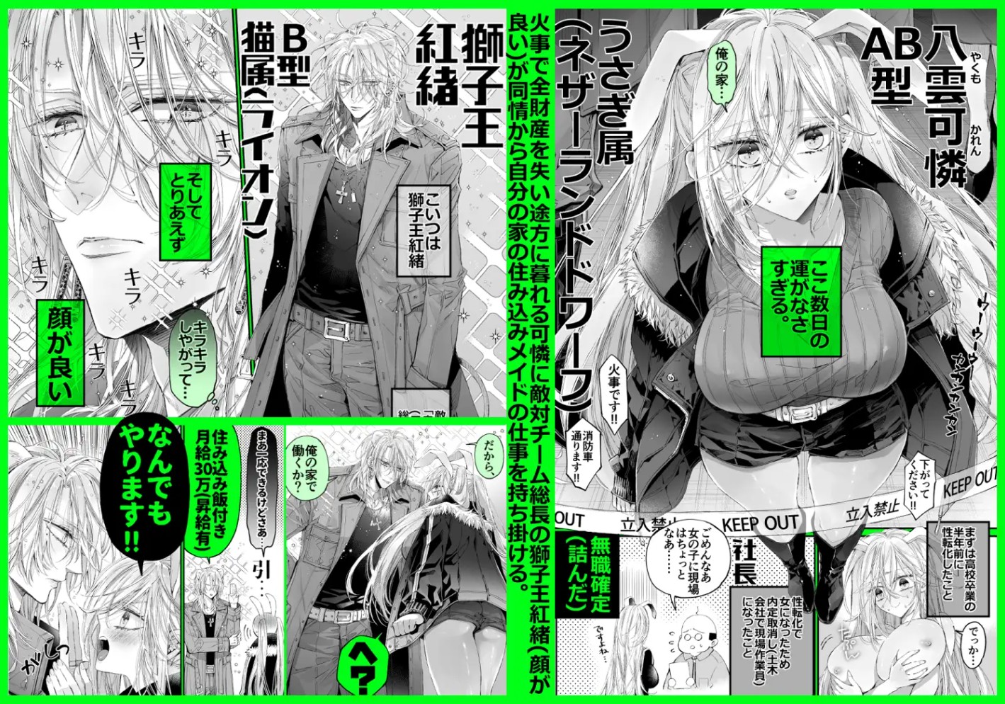 ターシャリトランスストレンジ*絶世の美女(元ヤン総長)が絶世の美男×2(敵対チーム総長)+(幼馴染)に執着溺愛される話2